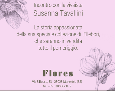 Evento Ellebori con Susanna Tavallini